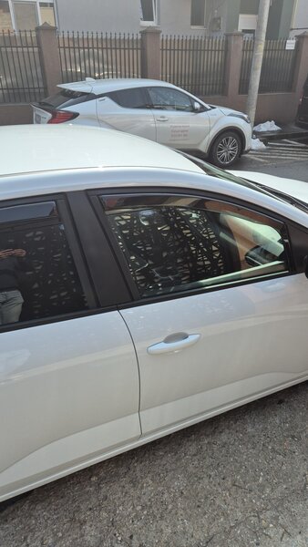 Soferi ride sharing, Bolt si Uber.